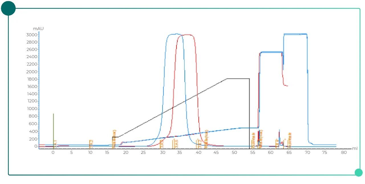 IEX Process Development and Optimization-pic-02